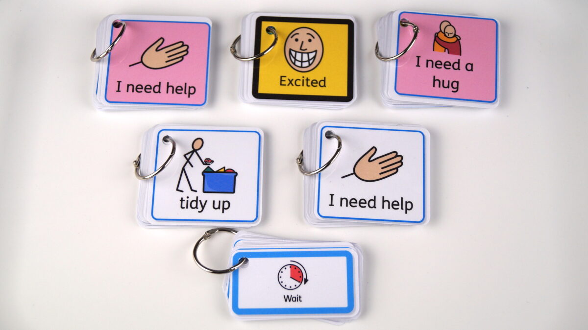 SEN Teacher Bundle - Image 3