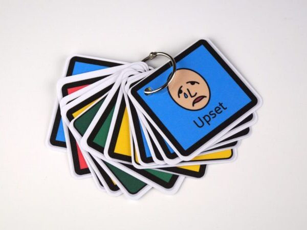 See Then Learn lanyards - How am feeling lanyard?